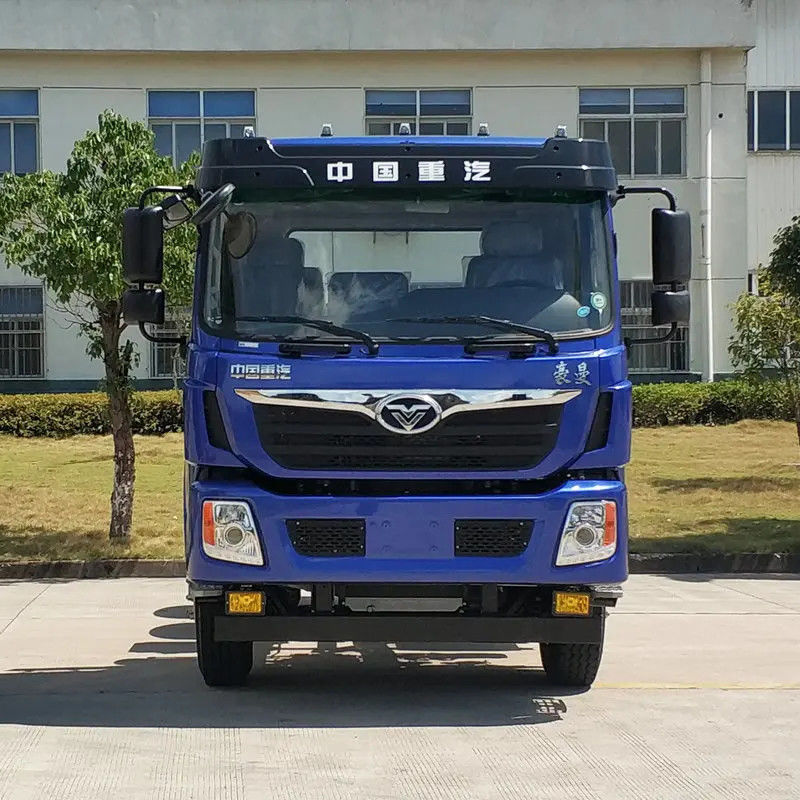 12 ruedas motor diésel LHD RHD 8*4/6*4 camión de descarga para el transporte de infraestructuras
