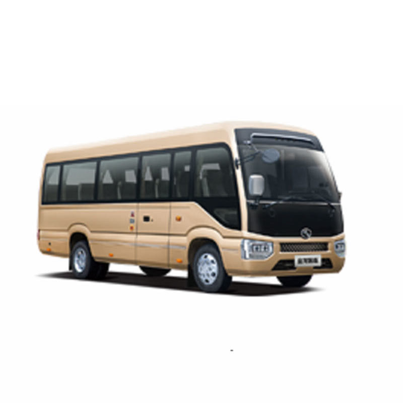 Autobús de lujo con motor diesel de 19 asientos Mini Bus de montaña rusa con y peso de 4100 kg