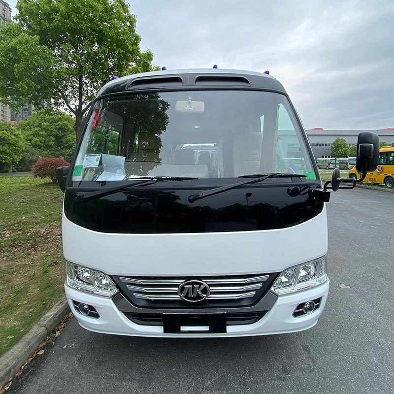 Deisel Fuel 21 1 asientos RHD LHD Autobús de montaña rusa modelo para sus necesidades de transporte