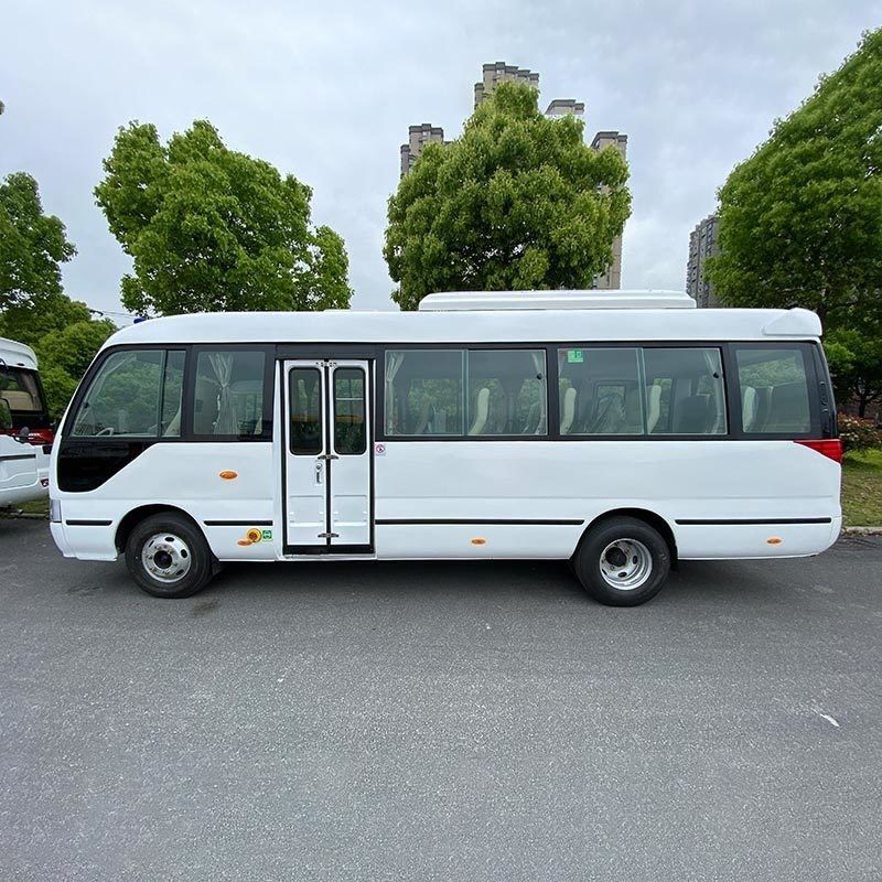 Deisel Fuel 21 1 asientos RHD LHD Autobús de montaña rusa modelo para sus necesidades de transporte