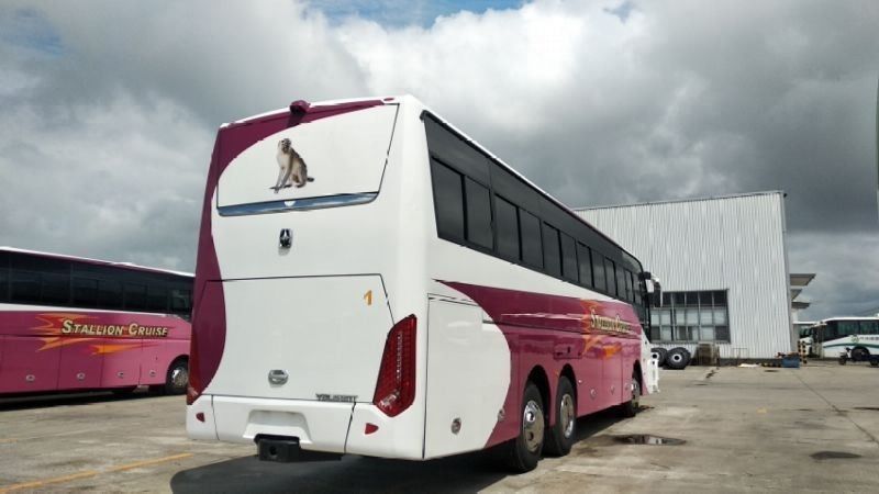 Autobuses de lujo de 55 plazas tipo LHD Drive para autobuses urbanos mejor opción