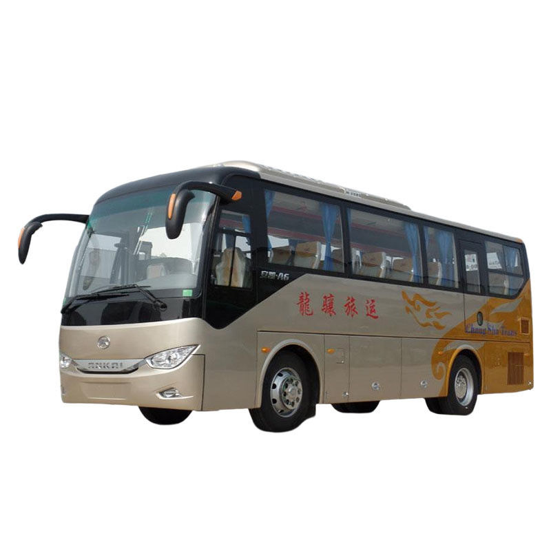 Autobús de 10 metros con manejo a la izquierda con diseño de color y interior de lujo