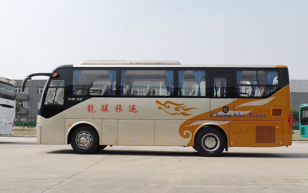 Autobús de 10 metros con manejo a la izquierda con diseño de color y interior de lujo